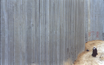 The Concrete Curtain [2005]